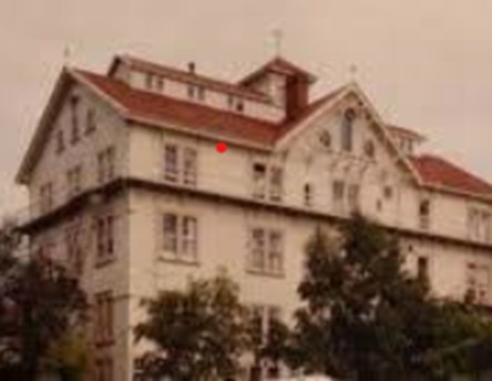 Sacred Heart + Redwood College colour
